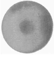 Verschlußstopfen 1/4" für Walbro WA Serie Ø = 6,35