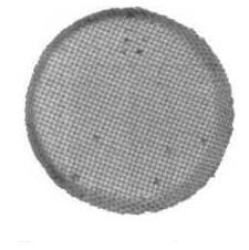 Vergaser Walbro Ventil Sieb Ø = 5.2 für Serie HDA, HDB, HDC, SDC, WA, WB, WAT, WTA, WT